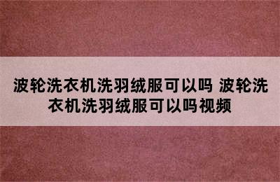 波轮洗衣机洗羽绒服可以吗 波轮洗衣机洗羽绒服可以吗视频